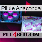 Anaconda Pill 37